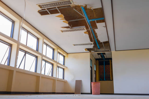 Reliable East Flat Rock, NC Water damage restoration Solutions