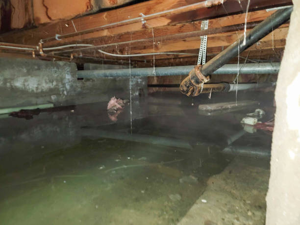 Water damage restoration mold remediation in East Flat Rock, NC