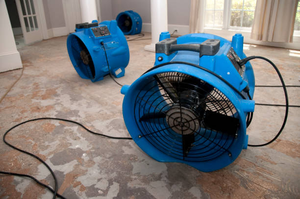  East Flat Rock, NC Water damage restoration Pros