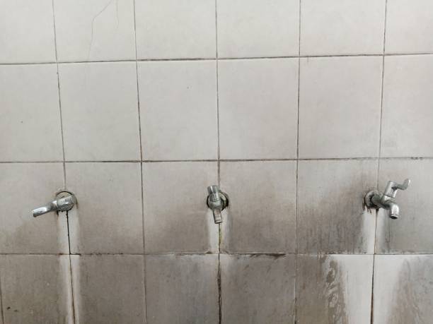 Best 24-hour water damage restoration  in East Flat Rock, NC