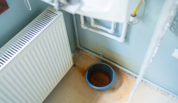 Best Carpet water damage restoration  in East Flat Rock, NC