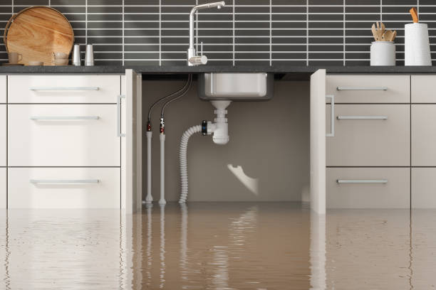 Best Water damage contractors near me  in East Flat Rock, NC