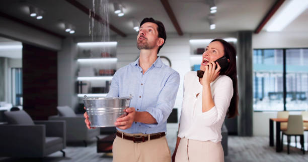 Best Basement water damage restoration  in East Flat Rock, NC